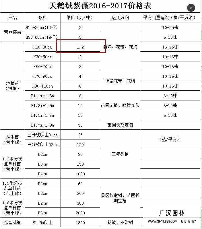 美国天鹅绒紫薇价格表