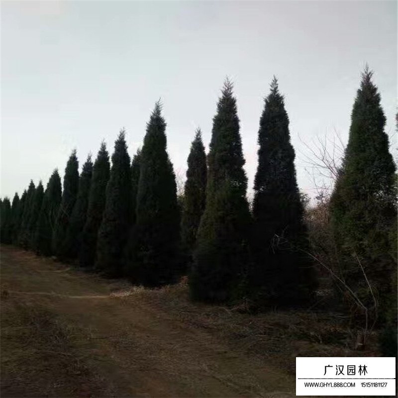 塔柏基地