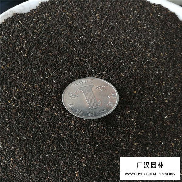 金鱼草种子多少钱一斤(图3)