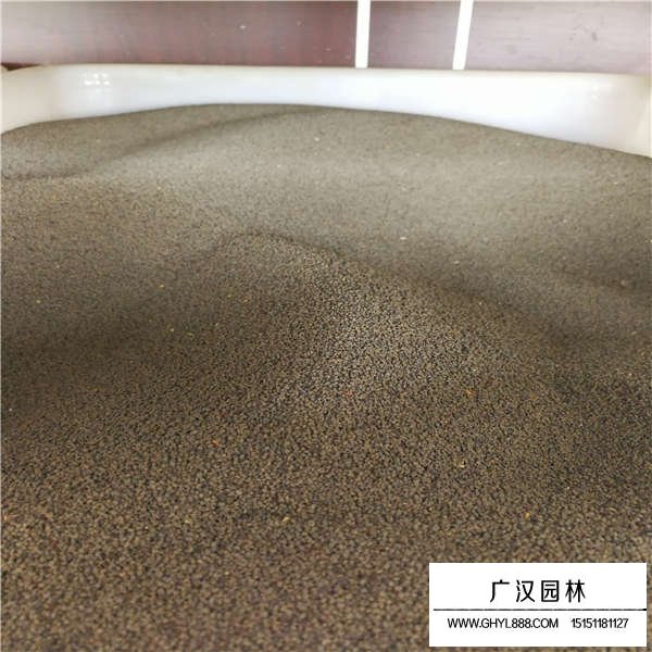 大花剪秋萝种子多少钱一斤(图2)