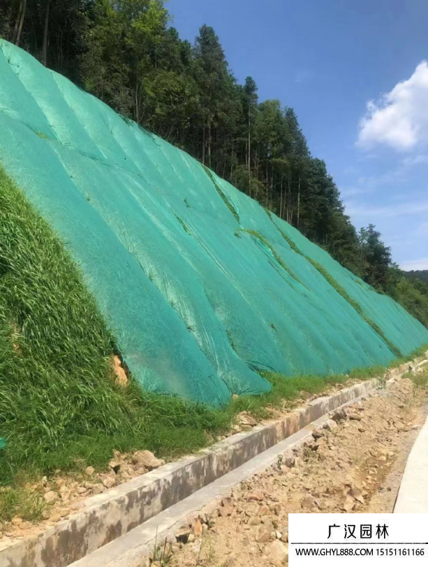 边坡绿化挂网施工方案
