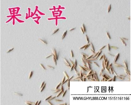 果岭草