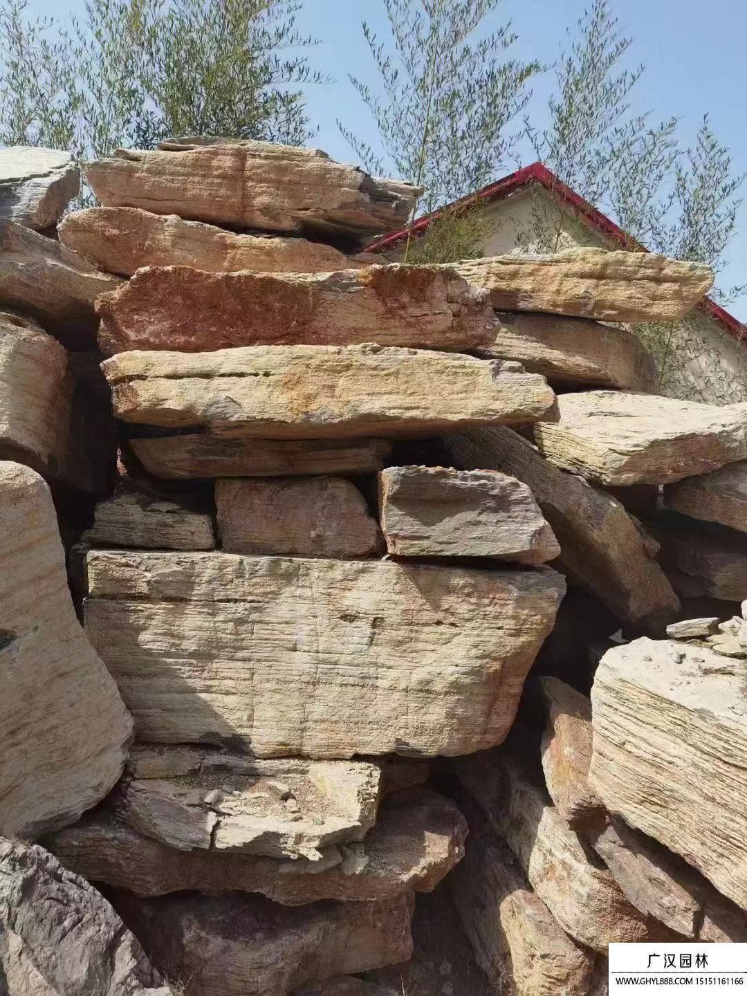 千层石和吸水石哪个更适合做假山