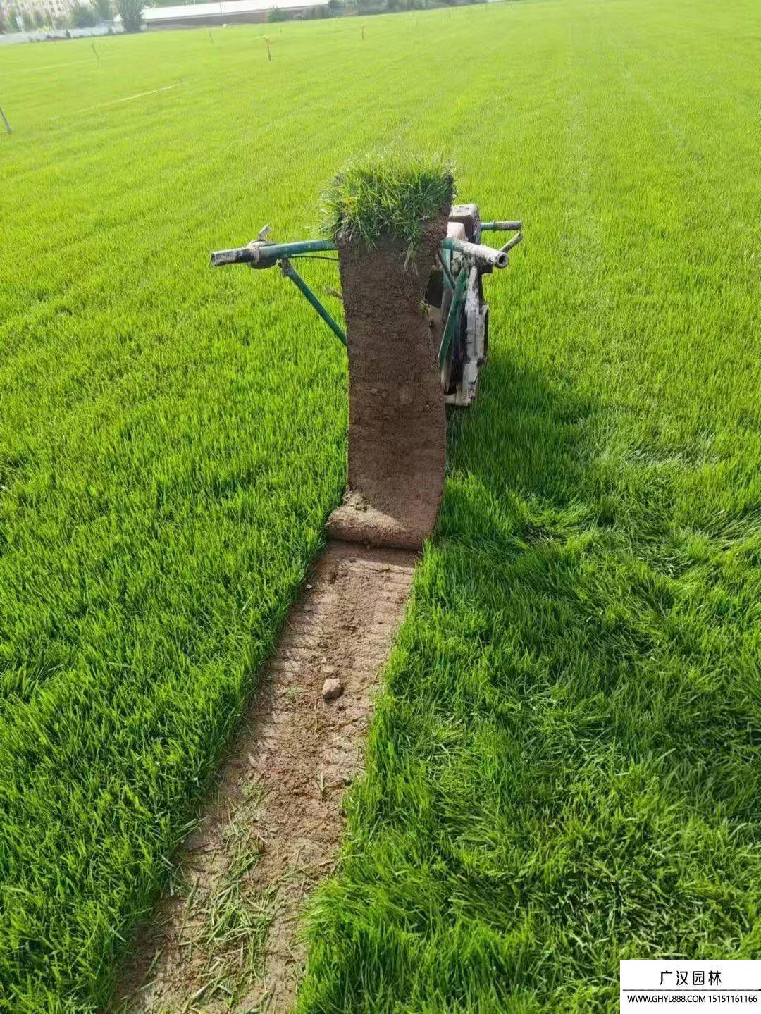 马尼拉