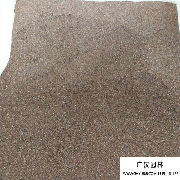 矮牵牛花种子