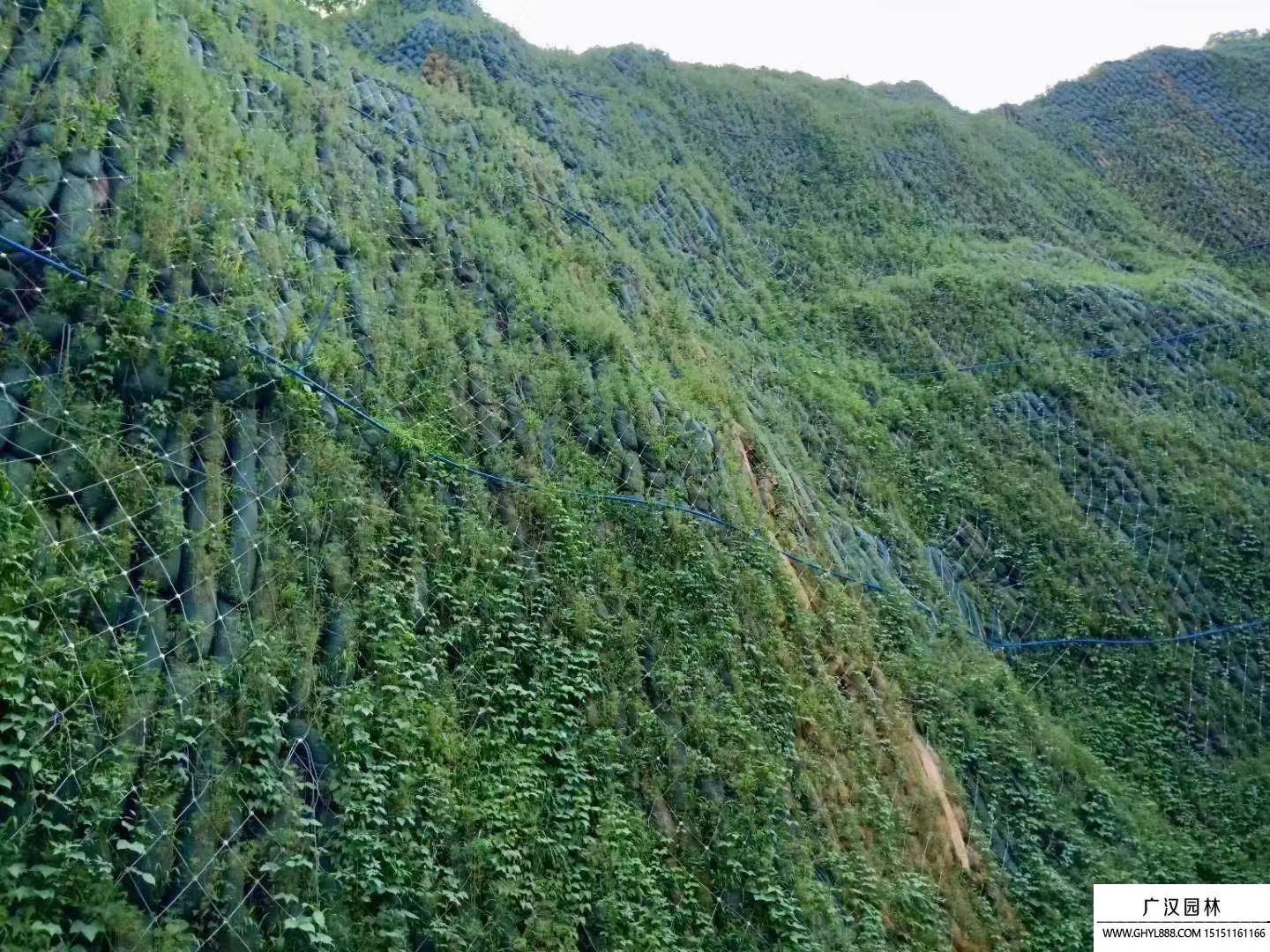 生态护坡袋