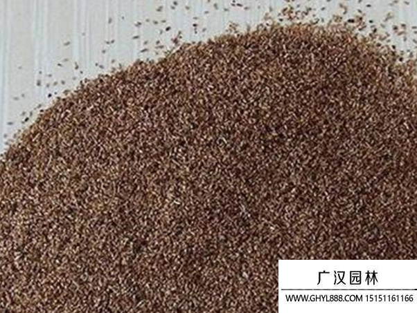 细叶针茅种子