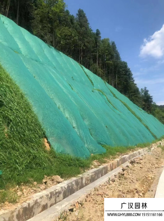 矿山河道边坡绿化