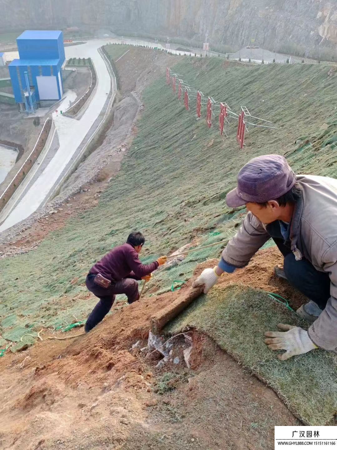 矿山河道护坡绿化