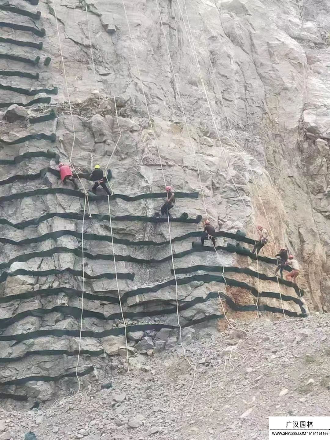 矿山河道护坡绿化规范